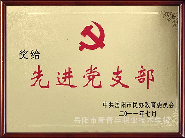 先进党支部（2011年）