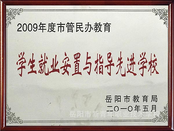 学生就业安置与指导先进学校