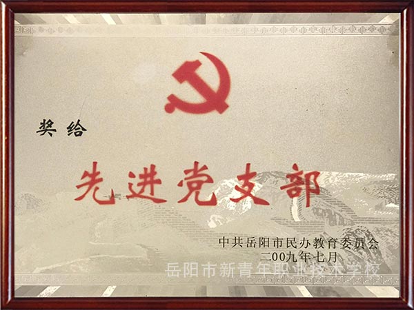 先进党支部（2009年）