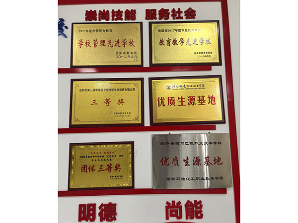 岳阳市巴陵职业技术学校,岳阳软件与信息服务,计算机应用招生