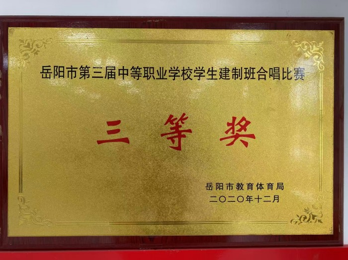 岳阳市巴陵职业技术学校,岳阳软件与信息服务,计算机应用招生
